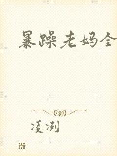 暴躁老妈全集封面