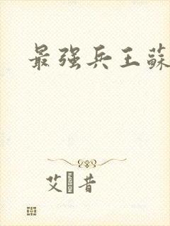 最强兵王苏锐封面