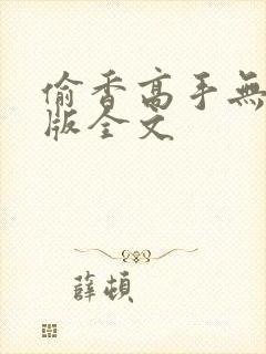 偷香高手无删减版全文