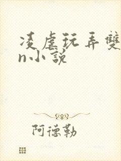 凌虐玩弄双性大n小说