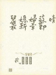 儿媳妇苏晴小说最新章节封面