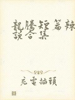 龙腾短篇辣文小说合集