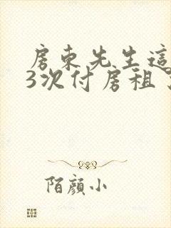 房东先生这是第3次付房租了封面