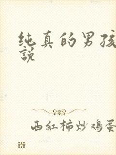 纯真的男孩子小说
