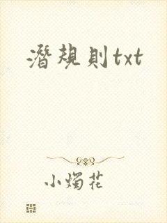 潜规则txt封面