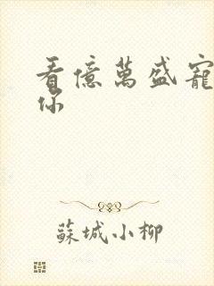 看亿万盛宠只为你