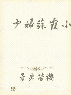少妇苏霞小说