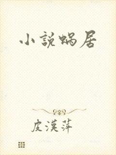 小说蜗居封面