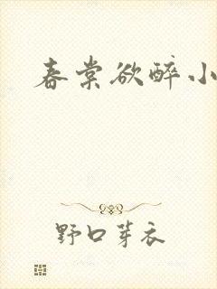 春棠欲醉小说