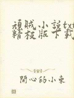 顽贼小说txt精校版下载