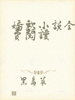 娇软小说全文免费阅读