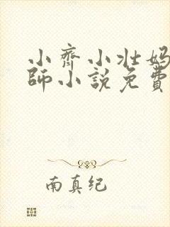 小齐小壮妈妈教师小说免费阅读