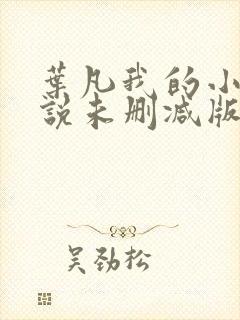 叶凡我的小姨小说未删减版