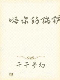 嗨你的锅铲封面