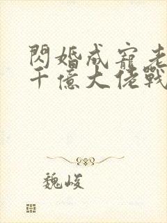 闪婚成宠老公是千亿大佬战胤海