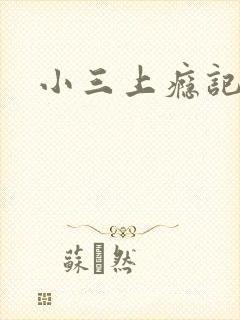 小三上瘾记