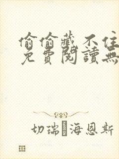 偷偷藏不住全文免费阅读无删减