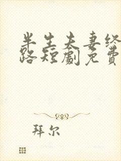 半生夫妻终成陌路短剧免费观看全集