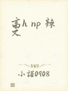 高h np 辣文封面