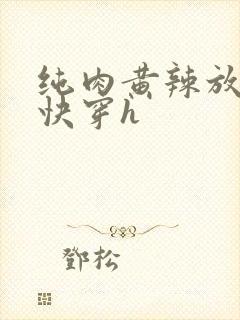 纯肉黄辣放荡高快穿h