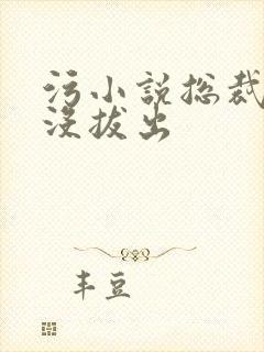 污小说总裁整夜没拔出
