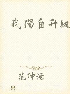我独自升级小说
