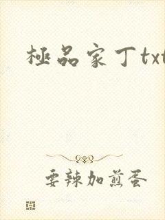 极品家丁txt
