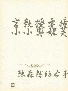 言教授要撞坏了小小奥妮芙原文封面
