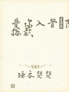 爱你入骨·隐婚总裁封面