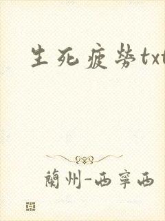 生死疲劳txt封面