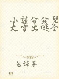 小说公公儿媳妇大雪出逃全文阅读