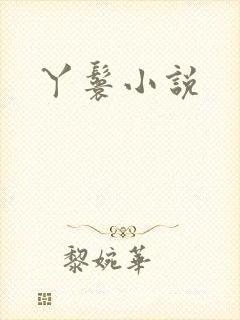 丫鬟小说