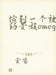 捡到一个被抹布的贵族omega