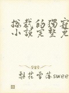 总裁的独宠甜妻小说完整免费封面