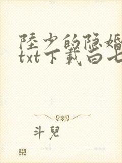陆少的隐婚罪妻txt下载白七诺