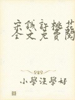 宋钱许桃花小说全文免费阅读