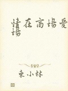 情在商场爱在官场