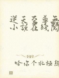 逆天至尊无删减小说在线阅读封面