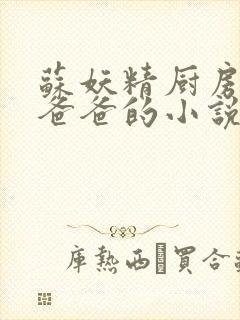 苏妖精厨房爹爹爸爸的小说