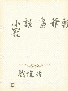 小说 枭爷轻点宠