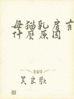母猫乳房有肿块什么原因