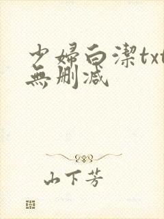 少妇白洁txt无删减封面