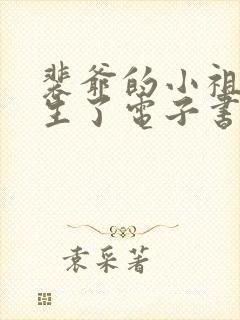 裴爷的小祖宗重生了电子书阅读封面