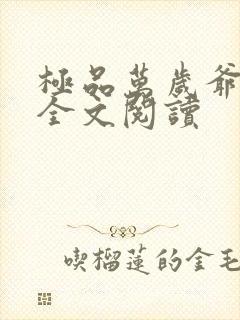 极品万岁爷小说全文阅读