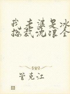 我老婆是冰山女总裁沈浪全集