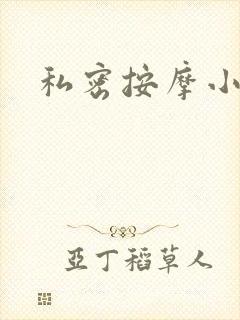 私密按摩小说