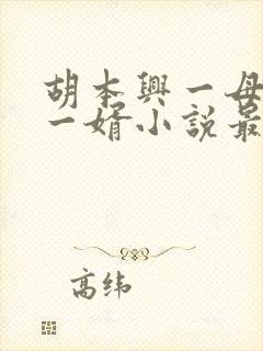 胡本兴一母四女一婿小说最新章节更