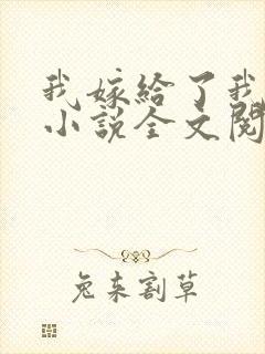 我嫁给了我儿子小说全文阅读
