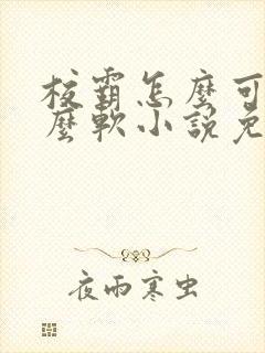 校霸怎么可以这么软小说免费阅读