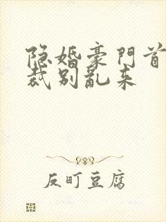 隐婚豪门首席总裁别乱来